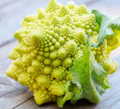 Broccoli Romanesco San Giuseppe 